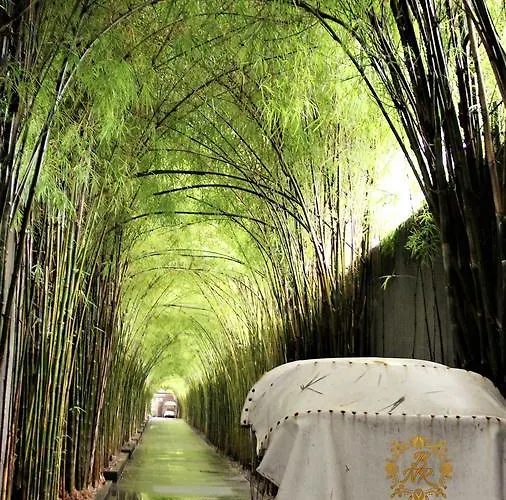 The Nibbana Villa *